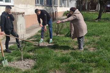 Посади свое дерево