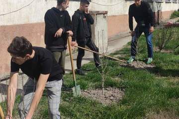 Посади свое дерево